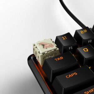 HX3D x Guild Wars 2 Keycap - Raptor